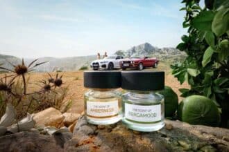 AMBERNESS dan BERGAMOOD